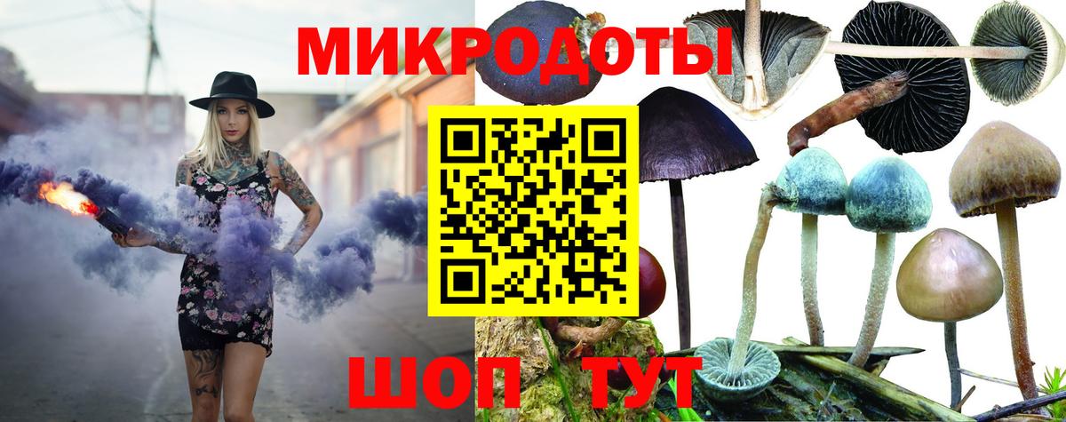 Псилоцибиновые грибы прущие грибы Ефремов